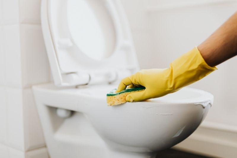 Cleaners from Cleaning Lake Macquarie services rubbing a toilet seat