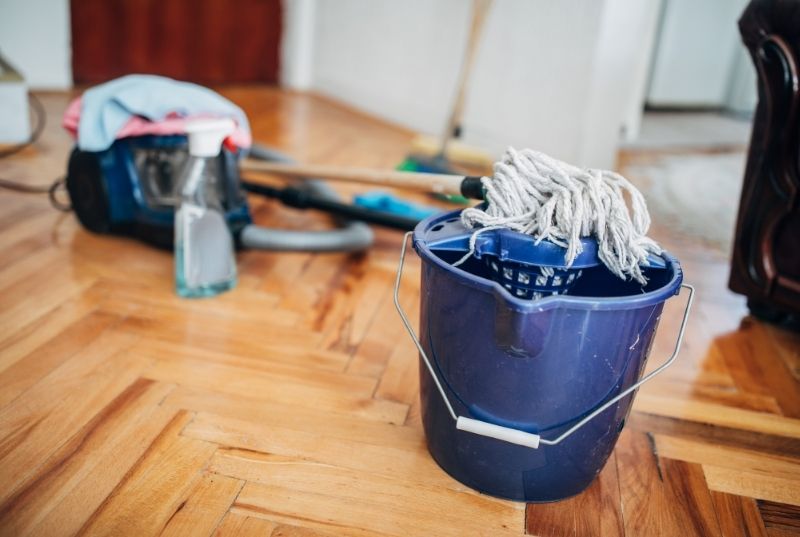cleaning pros
